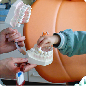 Ein Besuch unserer Kleinsten in der Zahnarztpraxis am Trauerberg in Brandenburg an der Havel